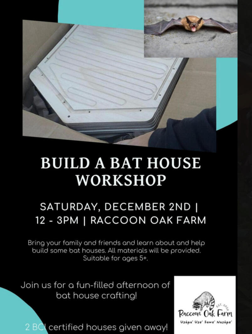 2023 Build a Bat House Workshop