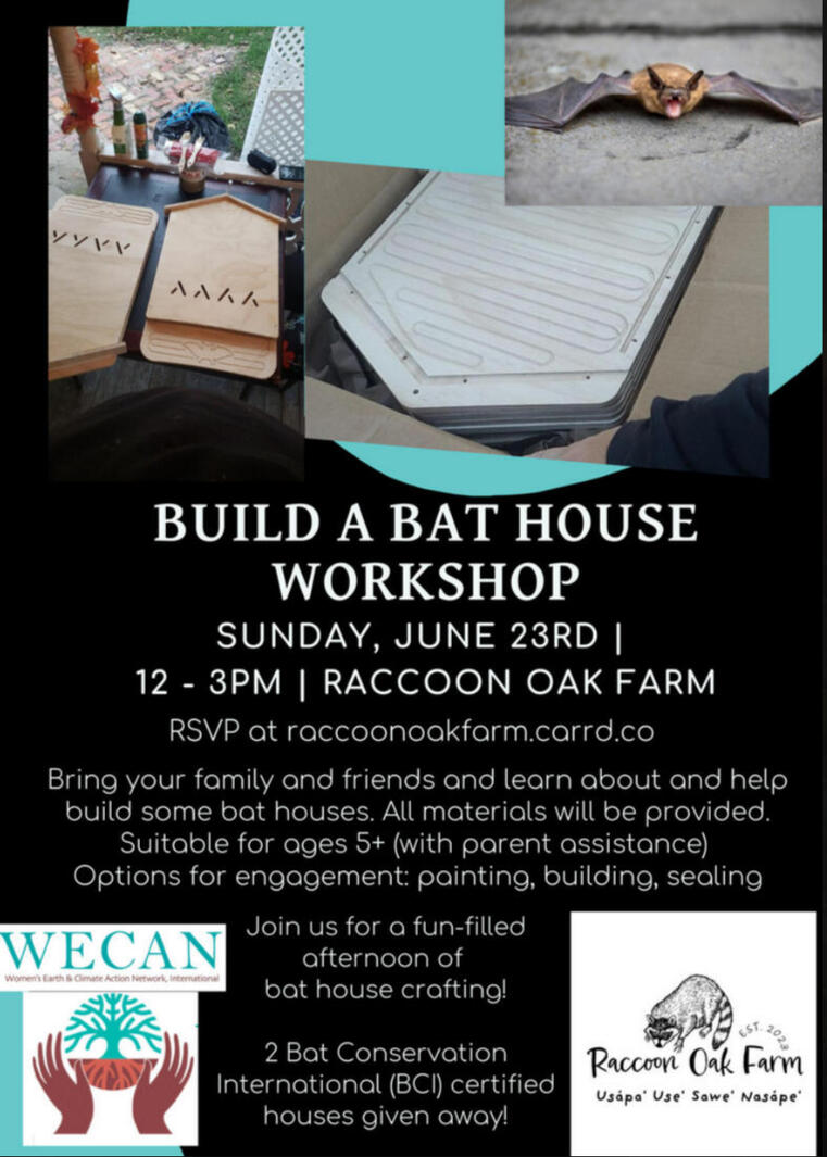2024 Build a Bat House Workshop